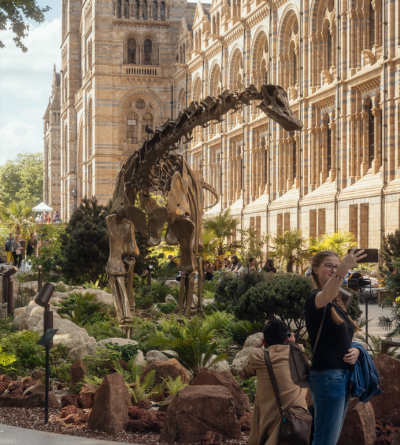 A dinosaur skeleton is displayed outdoors near a historic stone building with bespoke fixed rooflights, whilst people take photos and selfies around it.